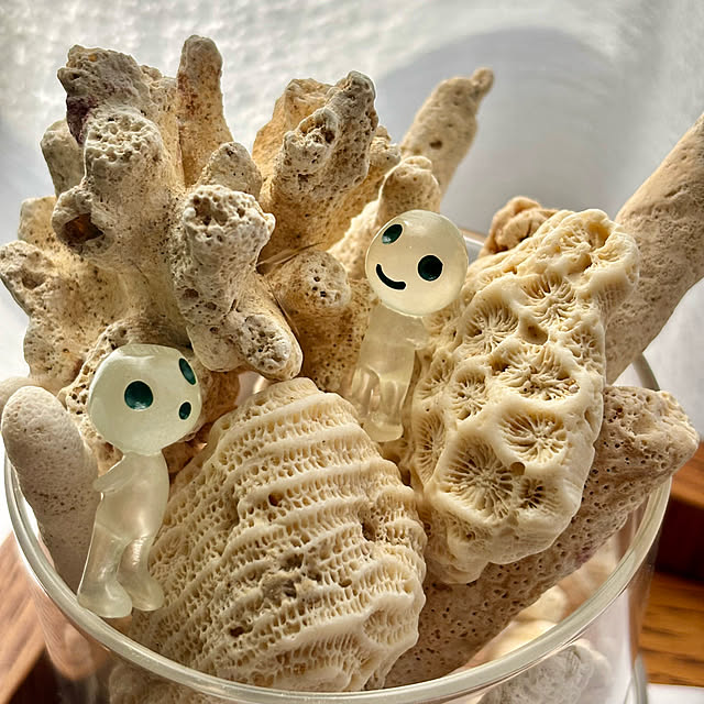 kyoko1124koさんの部屋