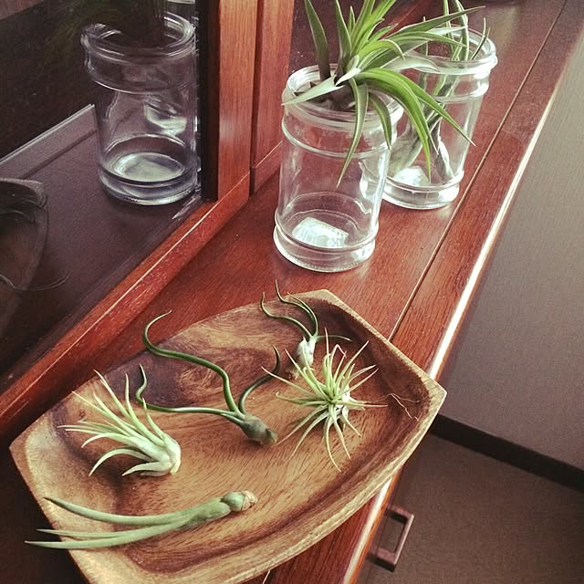 Yuki.kさんの実例写真