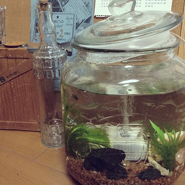 Kaoriさんの実例写真