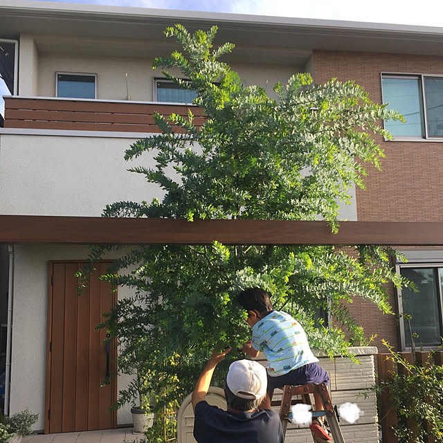 eitamanさんの実例写真