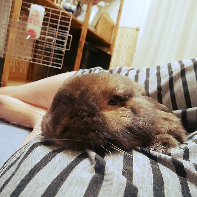 xxakemichxxさんの実例写真
