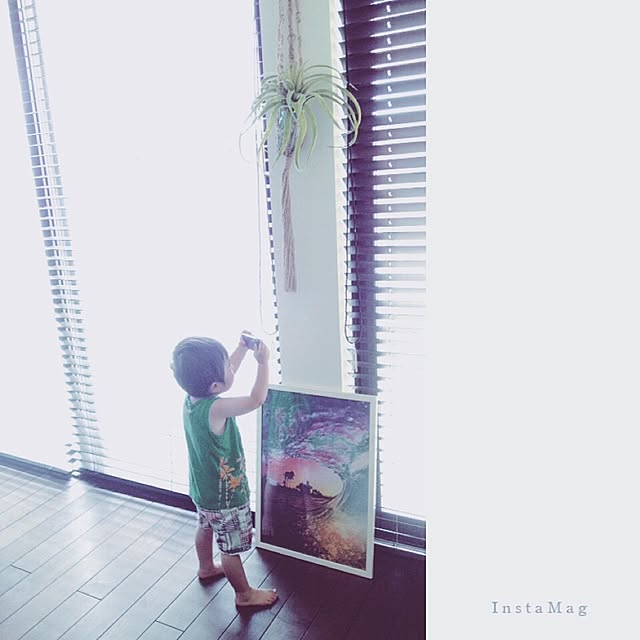 harusoraさんの実例写真