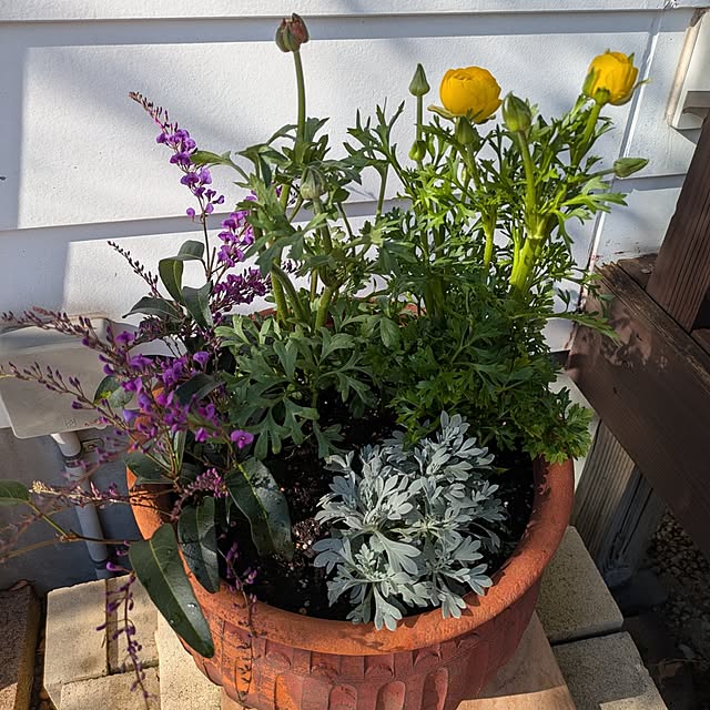 kikufujiさんの部屋