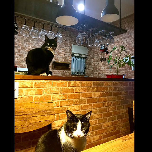 butachanさんの実例写真