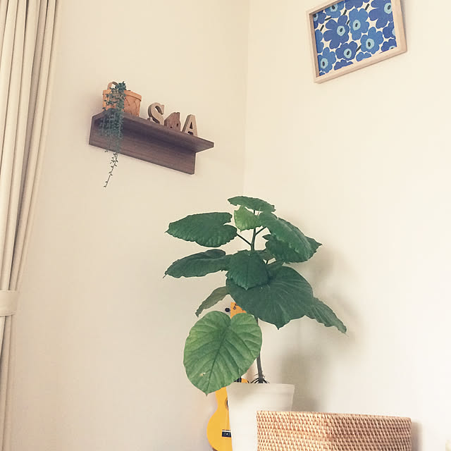 orangeteaさんの実例写真
