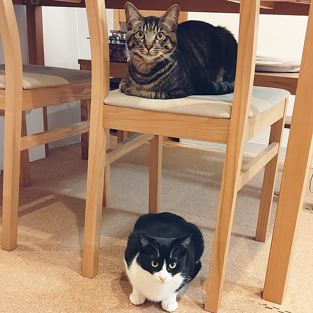 hihaさんの実例写真