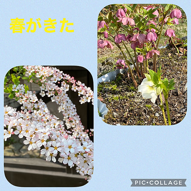 banken3jpさんの実例写真