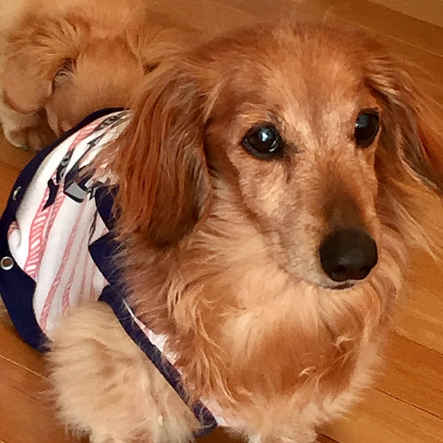 chachamamaさんの部屋