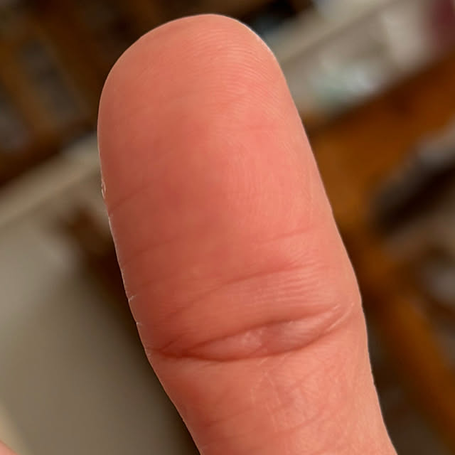 msさんの実例写真