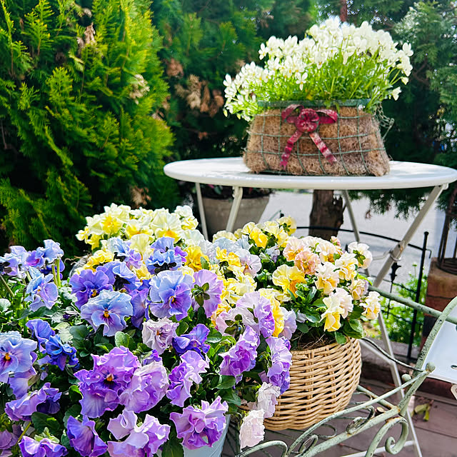 sunabaさんの部屋