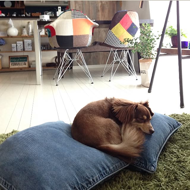 rikakoさんの実例写真