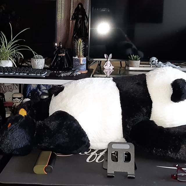 tosi66554さんの部屋