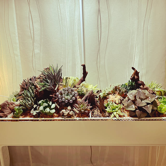 nanakoさんの部屋