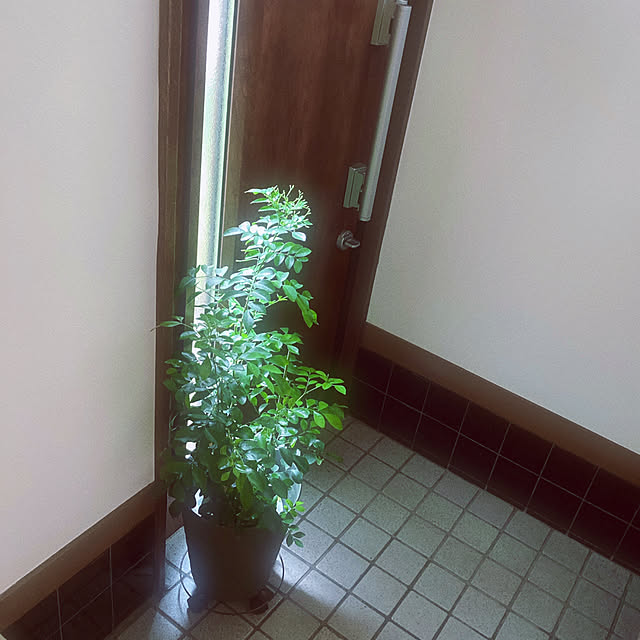 mommyさんの実例写真