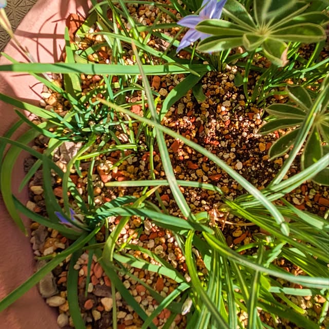 mi-saさんの部屋