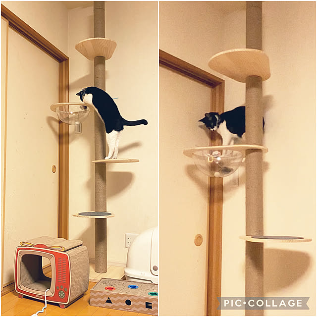 moolさんの実例写真
