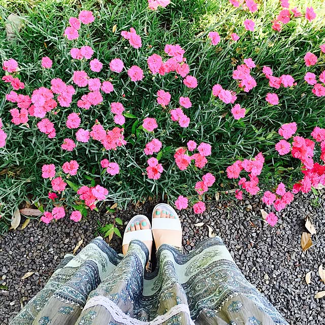 mamyuさんの実例写真