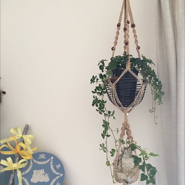 壁/天井/観葉植物/ハンドメイド/DIY/多肉植物...などのインテリア実例 - 2016-05-15 14:10:33