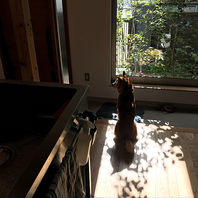 eucaさんの実例写真