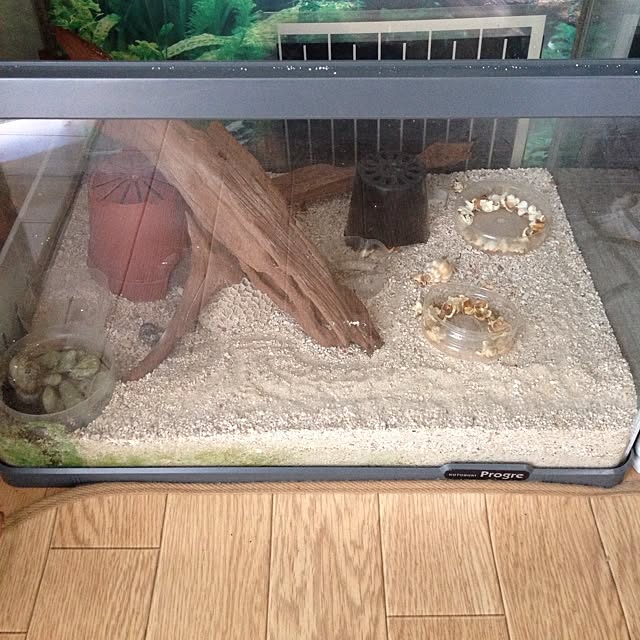 berryさんの実例写真