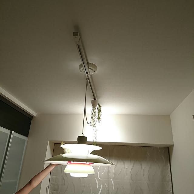 narisukeさんの実例写真