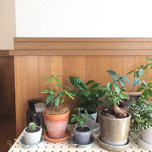 miki_kさんの実例写真