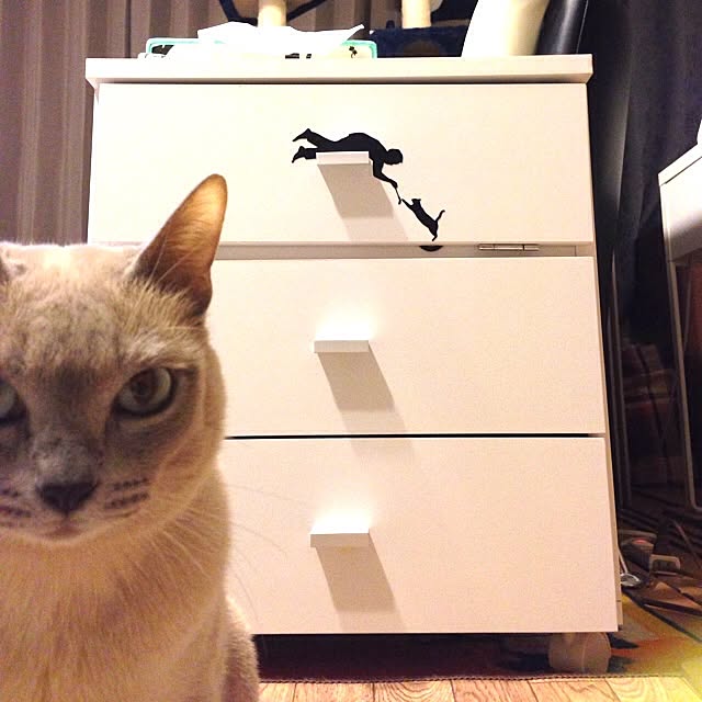 monkeymajimajikさんの実例写真