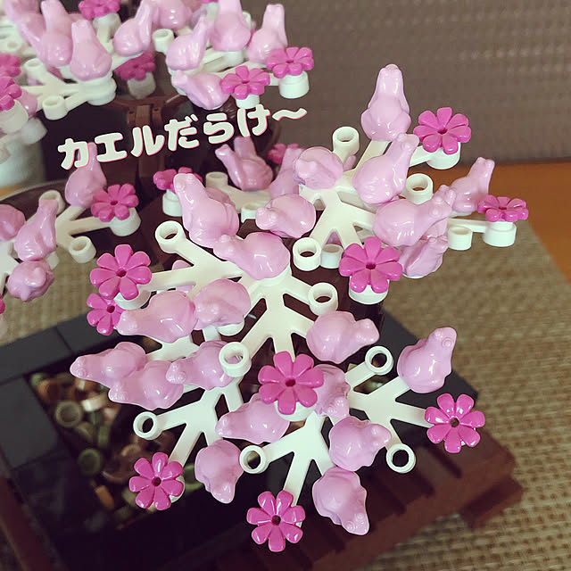 tamaharuさんの実例写真