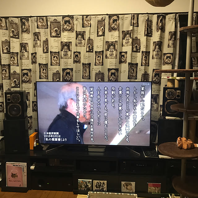 nekohagu2022さんの実例写真