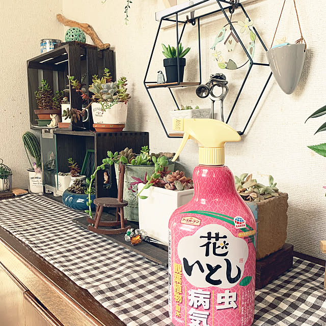 cyaroさんの実例写真
