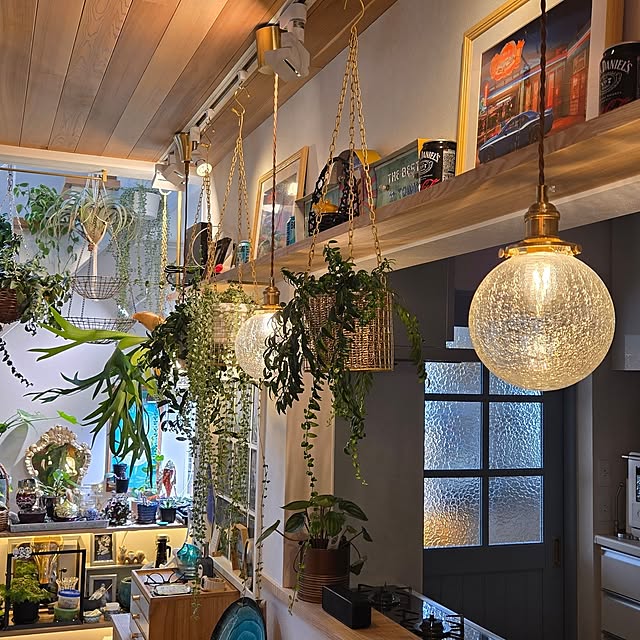 nonbiri_house_さんの部屋