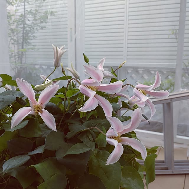Bienvenueさんの部屋