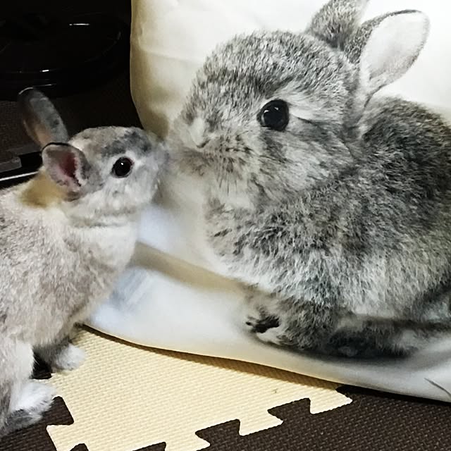 hitominさんの実例写真