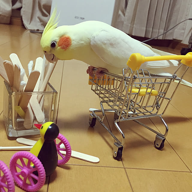 toratanさんの実例写真