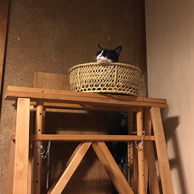 nejimakiさんの実例写真