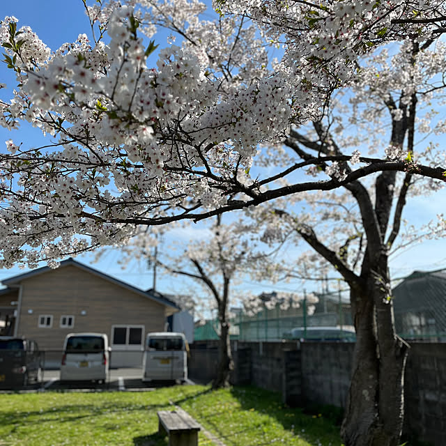 Atsukoさんの部屋