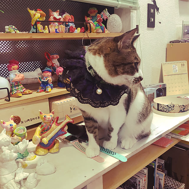 jijiさんの実例写真