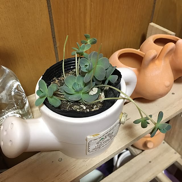 CHIROさんの実例写真