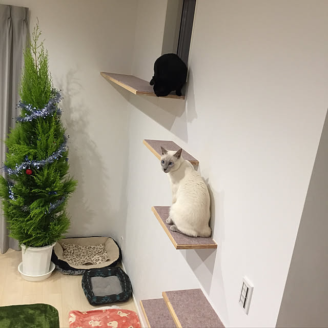 OmamekOさんの実例写真