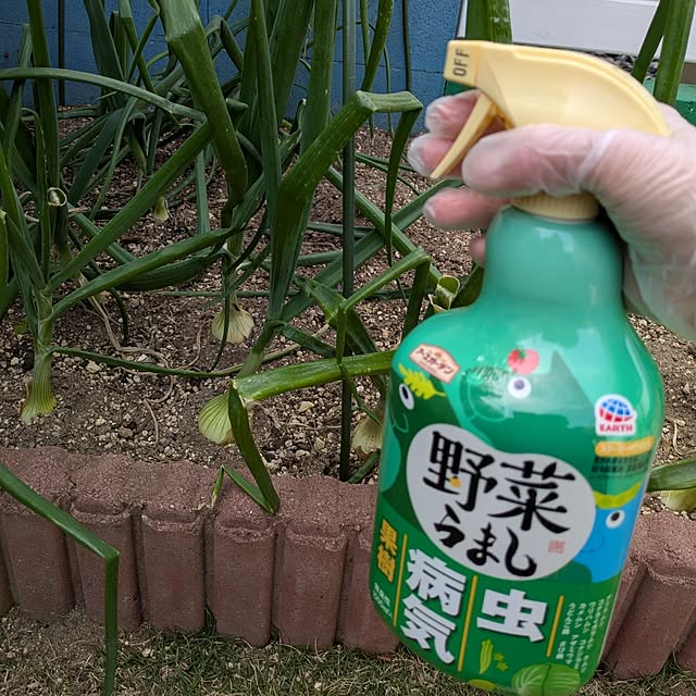 Miyumamaさんの部屋