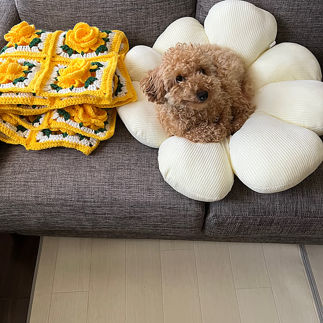 eriharuさんの部屋