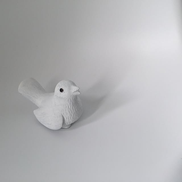 erisaさんの実例写真