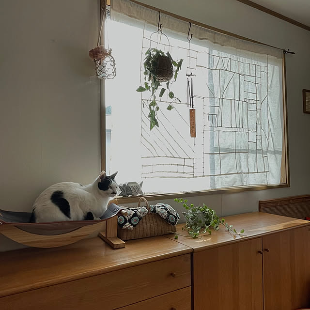 nobikoさんの実例写真