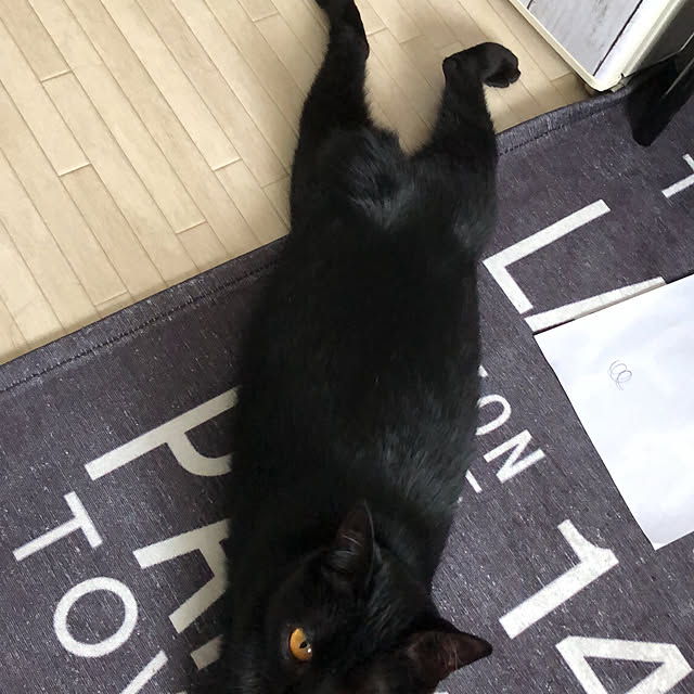 MICOさんの部屋