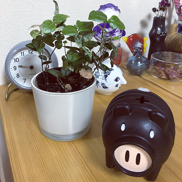 juboccoさんの実例写真