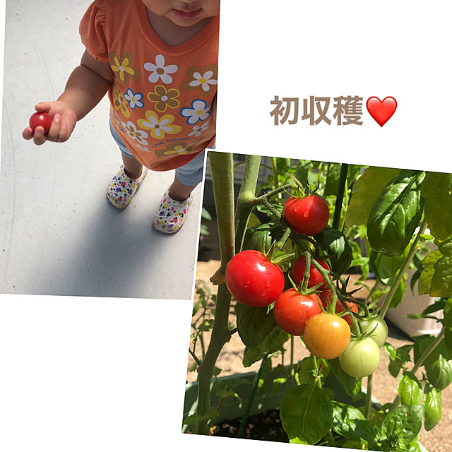 kaorikoさんの実例写真