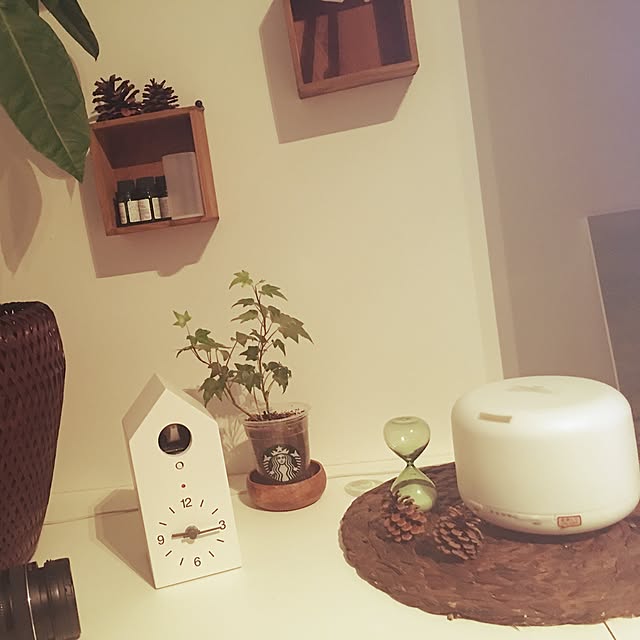 riroota.gさんの実例写真