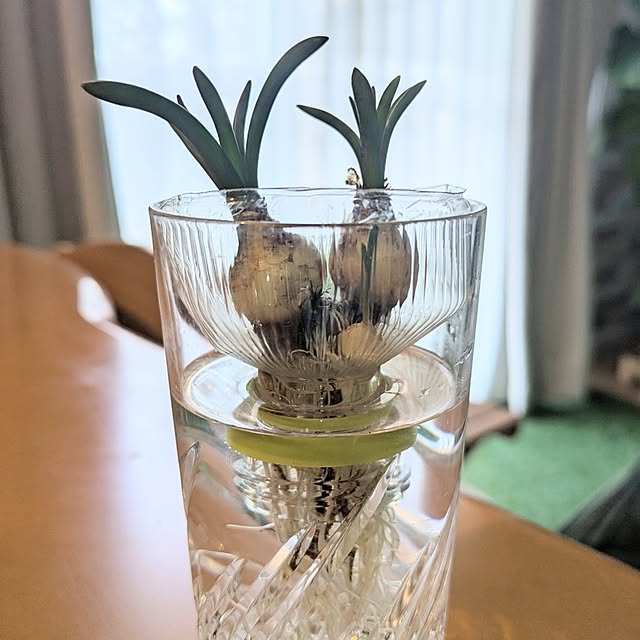 renrinmamaさんの実例写真
