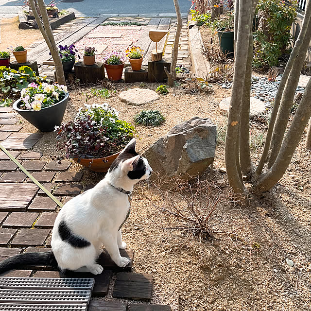 nobikoさんの実例写真