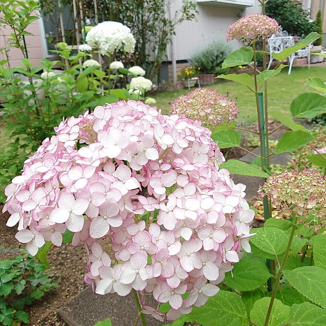 fleur-mamanさんの実例写真